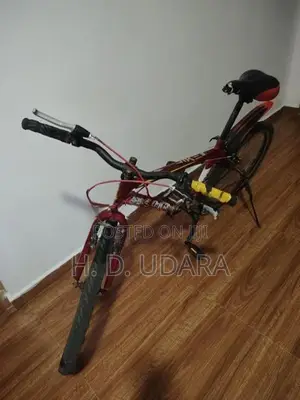 DSI Bycicle