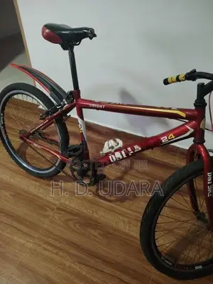 DSI Bycicle