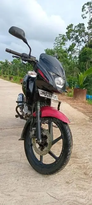 Bajaj Pulsar 150 2015