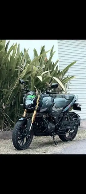 Hero Hunk 160R 2025