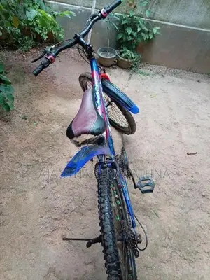 Lumala Bicycle