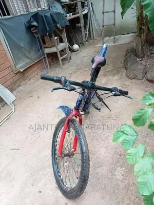 Lumala Bicycle