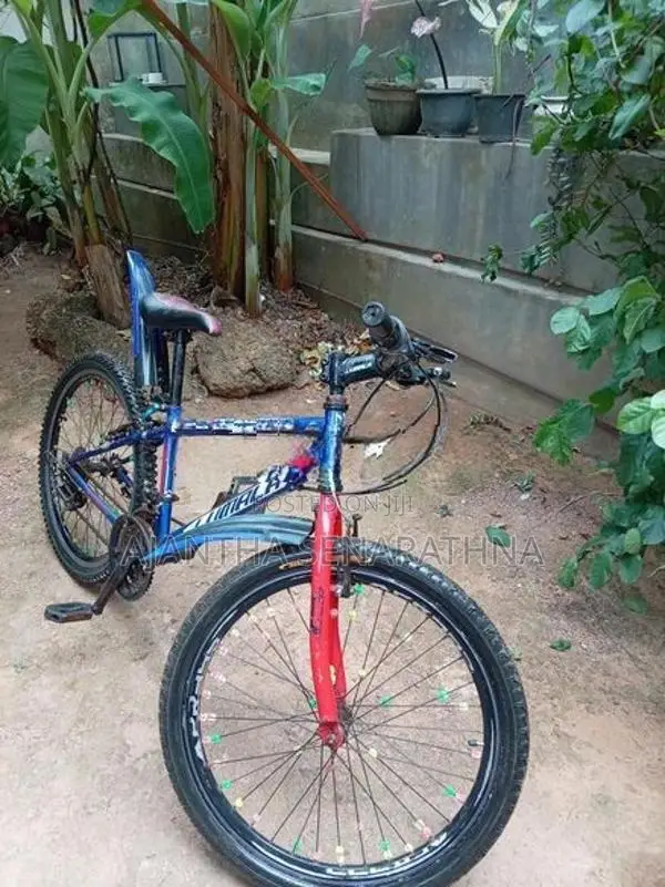 Lumala Bicycle