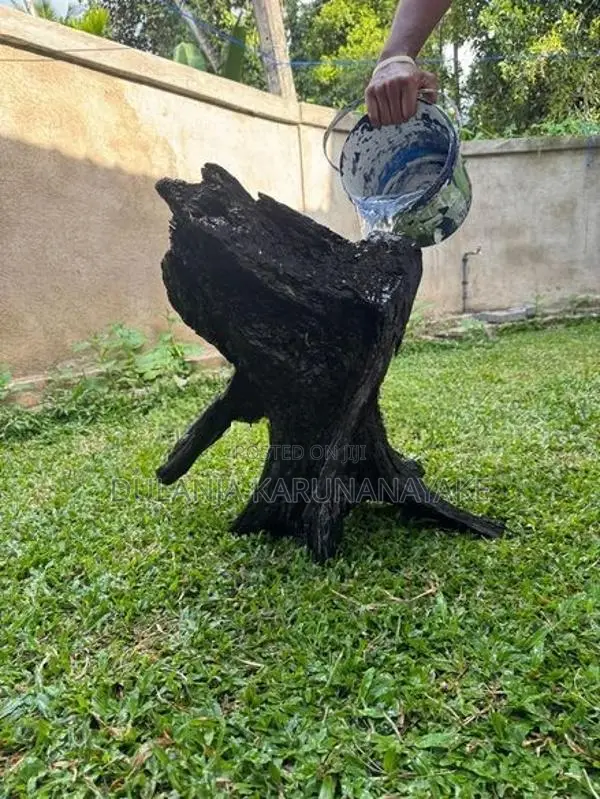 Full Black Kubuk wood for tank
