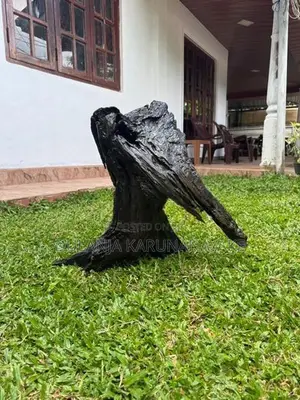 Full Black Kubuk wood for tank