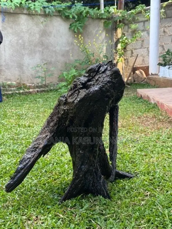 Full Black Kubuk wood for tank