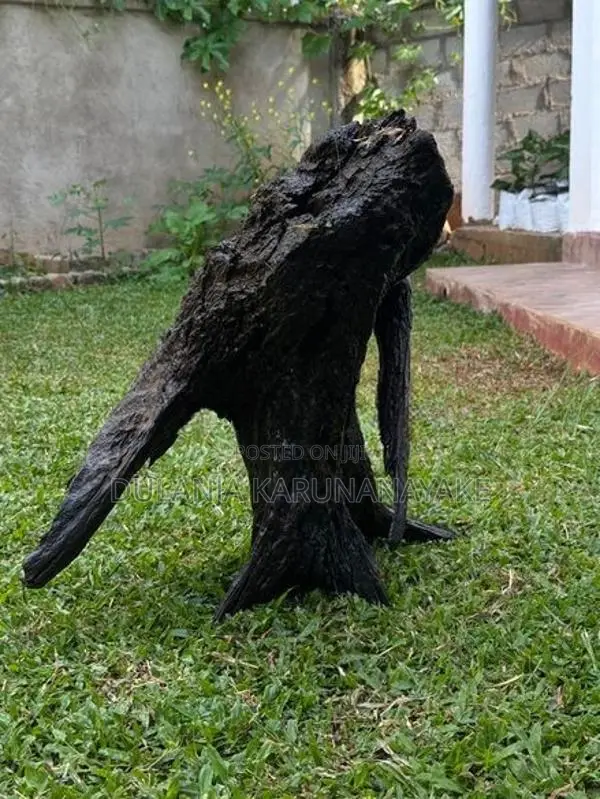 Full Black Kubuk wood for tank