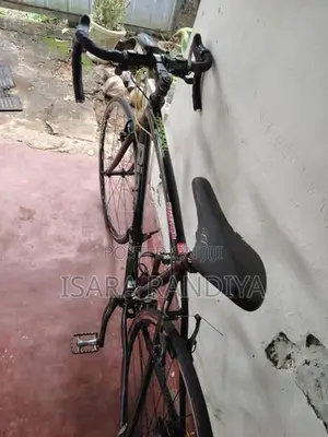 Bianchi B15