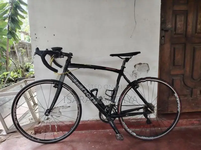 Bianchi B15