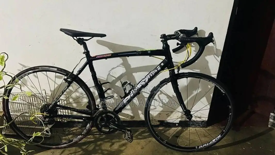 Bianchi B15