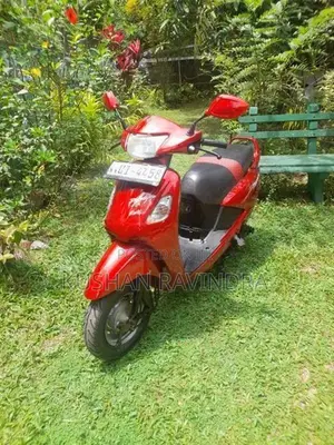Hero Pleasure 2008