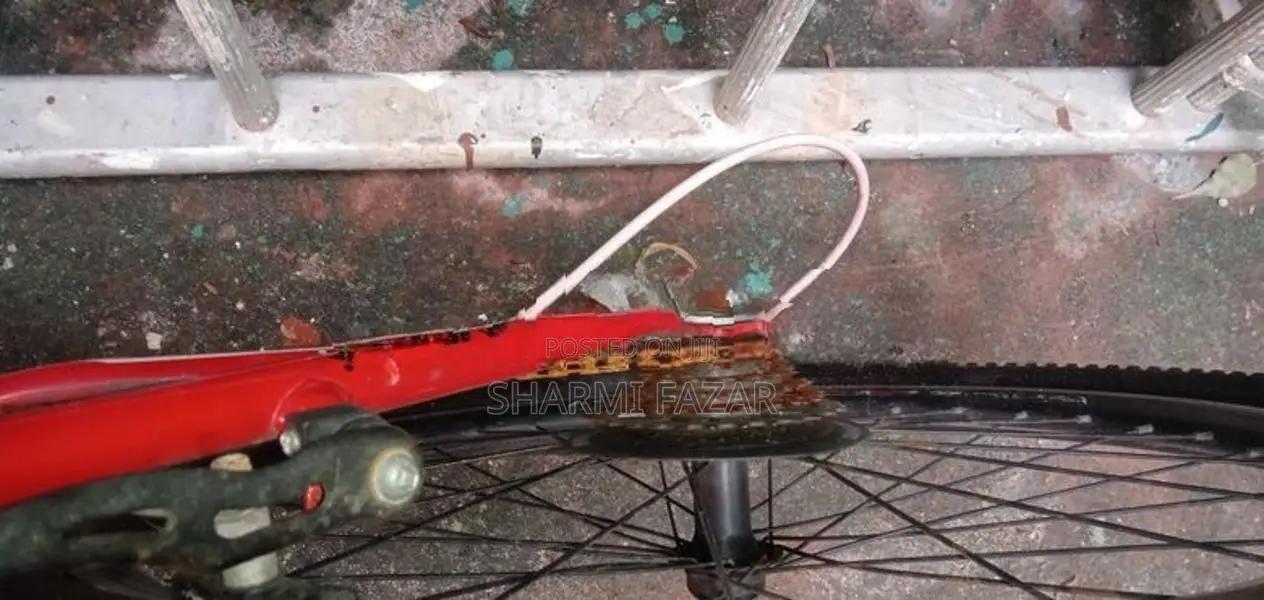 NGC bicycle