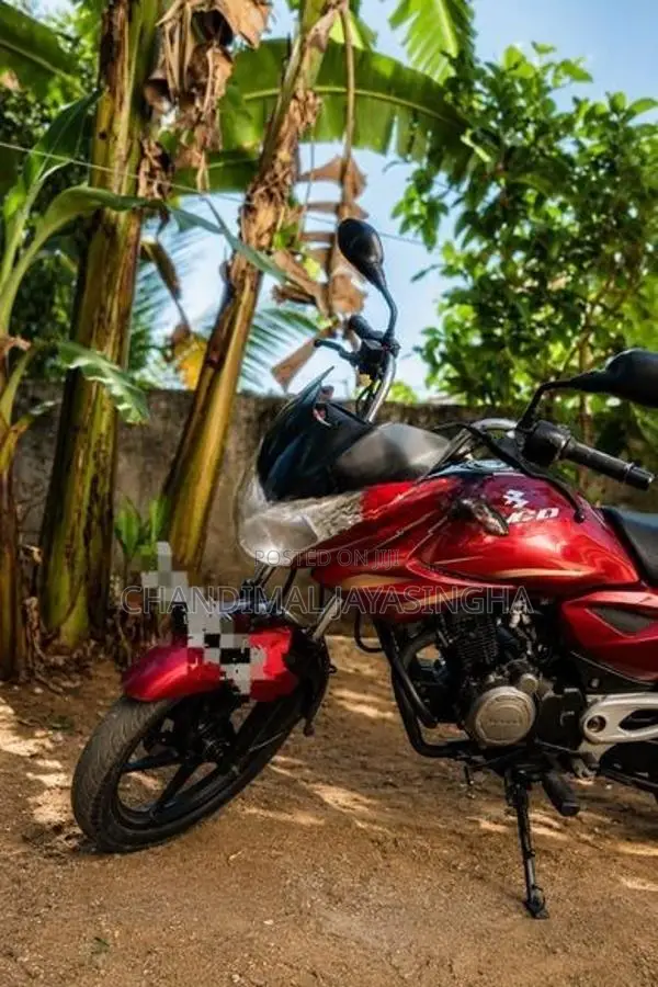 Bajaj XCD 2009