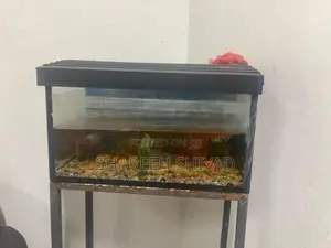 Fish Tank
