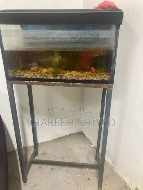 Fish Tank