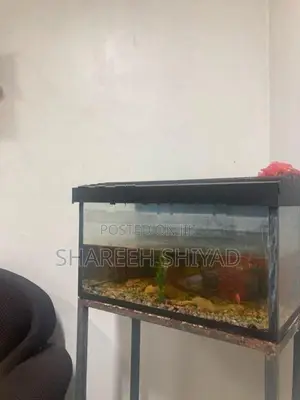 Fish Tank