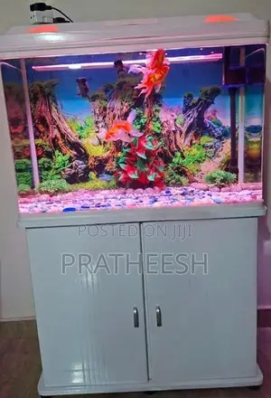 Fish Tank