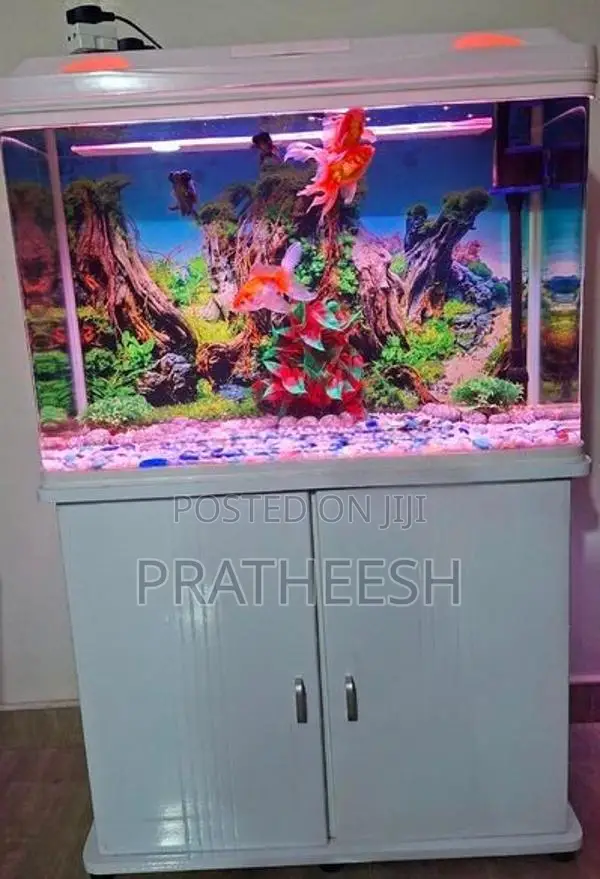 Fish Tank