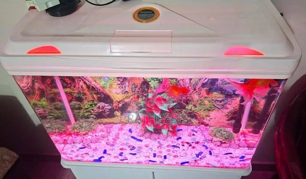 Fish Tank