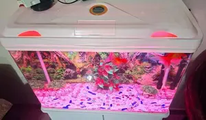 Fish Tank