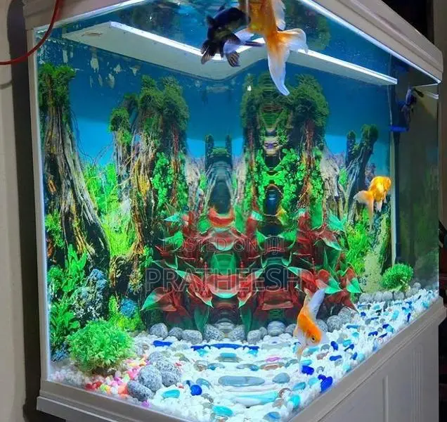 Fish Tank
