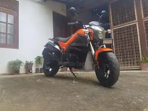 Dayun Mini 110 2017