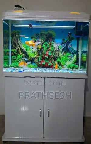 Fish Tank