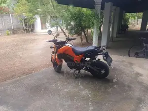 Dayun Mini 110 2017