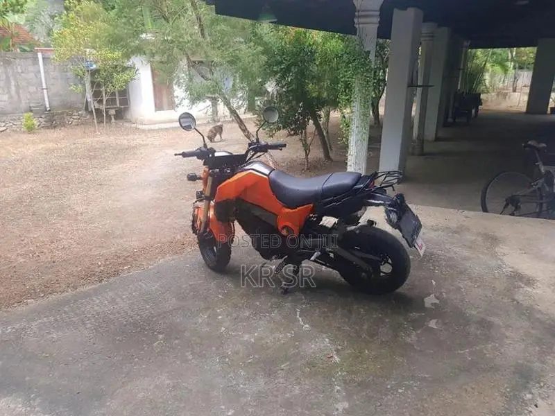 Dayun Mini 110 2017