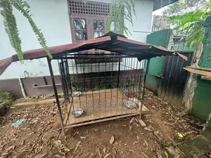 Dog Cage