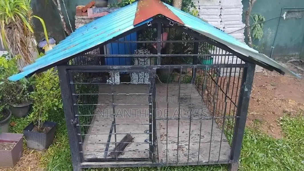 Dog Cage