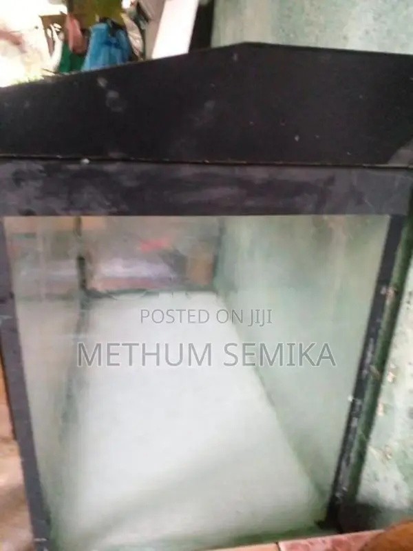 Fish Tank
