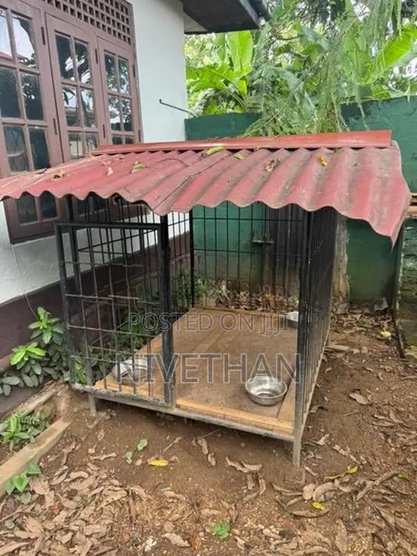 Dog Cage