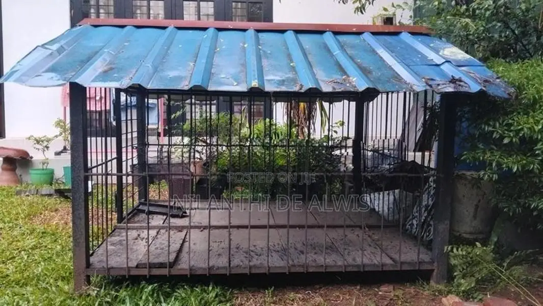 Dog Cage