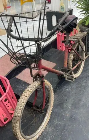 Bicycle