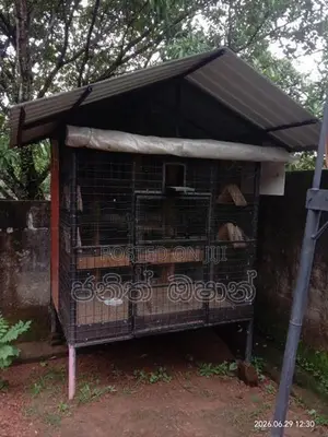 පරයි කූඩු