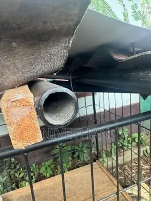 Dog Cage
