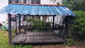 Dog Cage