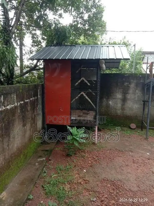 පරයි කූඩු