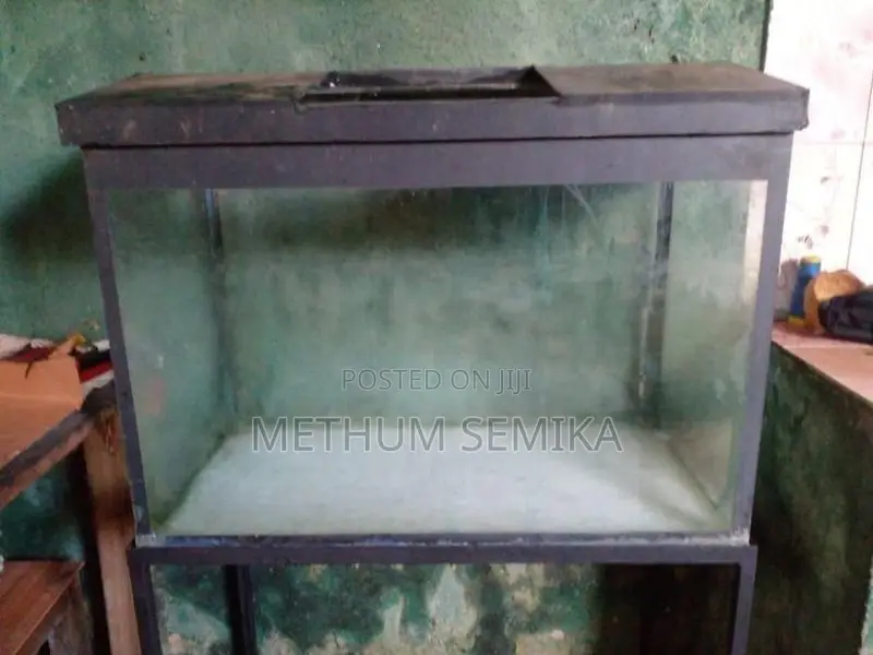 Fish Tank
