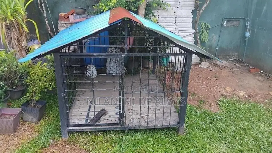 Dog Cage