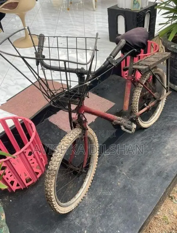 Bicycle