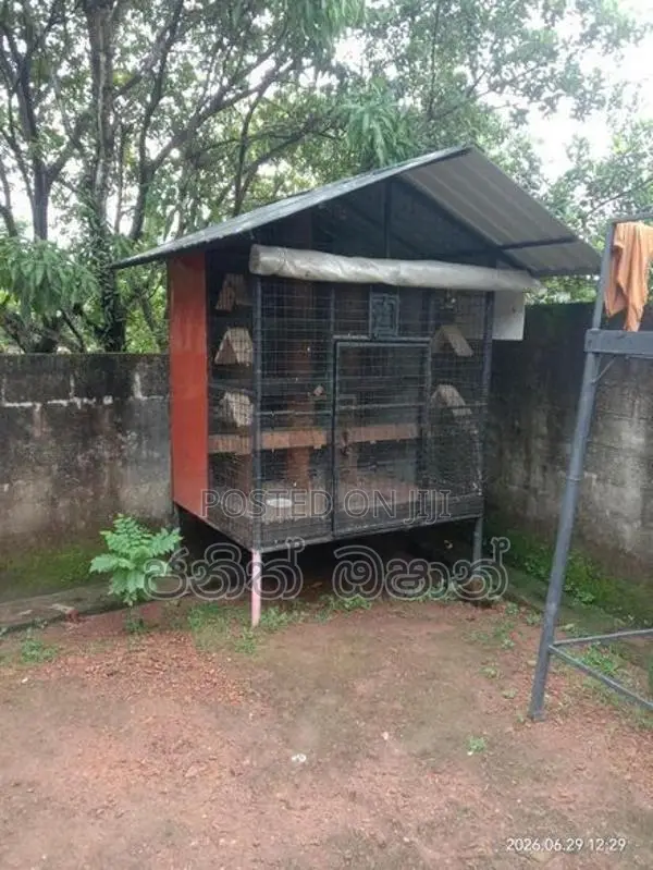 පරයි කූඩු