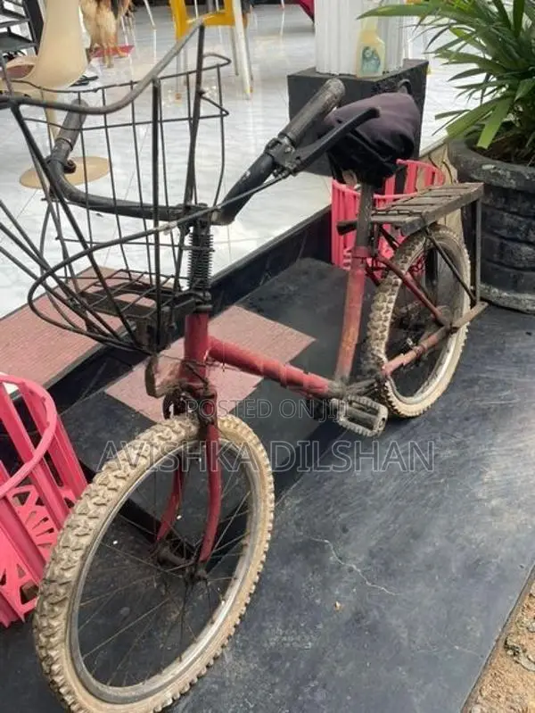 Bicycle