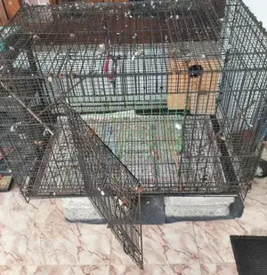 Bird Cage
