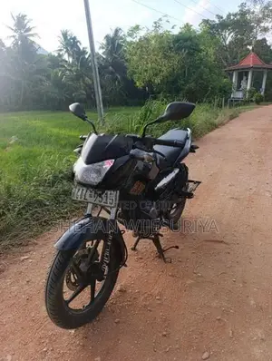 Bajaj Pulsar 135 2010