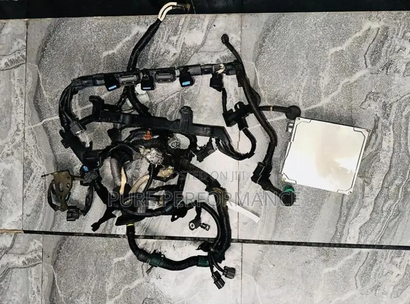 Honda Civic EG8 Vtec Engine Harness