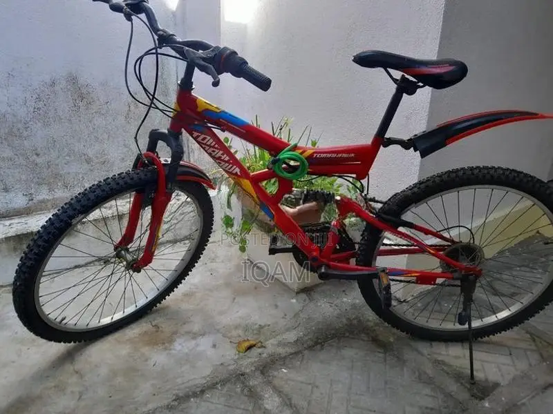 Tomahawk Dual Suspension Mountain Bike