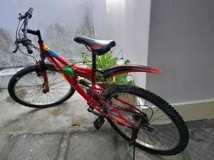 Tomahawk Dual Suspension Mountain Bike