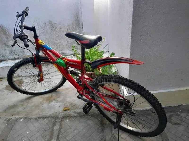 Tomahawk Dual Suspension Mountain Bike
